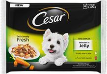 Cesar Pouch Selection in Jelly, Chicken & Carrots and Beef & Vegetables, 48 x 100 g (4 pack x 12 pouch with 100g)