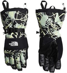 THE NORTH FACE Montana Ski Gloves Men's (TNF Black Hands, Large)