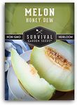 1 Pack Honeydew Melon Seeds for Planting with Instructions to Grow Light Green Honey Dew Melons Your Home Vegetable Garden - Non-GMO Heirloom Melon Seed - Survival Garden Seeds