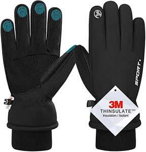 Gants d'hi