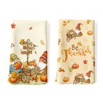 Arquiel 2 Pcs Autumn Thanksgiving Kitchen Towel 100% Cotton Fall Pumpkin Absorbent Dish Towel 70 x 48 cm Housewarming Decorative Hand Towels for Dining Home