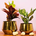 The Subtle Art® Premium Golden Glossy Metal Planter Set (7.1 inches and 6.2 inches Wide), for Indoor & Outdoor Plants, Living Room, Bedroom, Home & Office Decor (Golden Glossy Large Planter Set of 2)