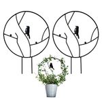 TKRSRK 2 Pcs Iron Garden Trellis for Climbing Plants, 13.6" Rust-Proof Small Trellis for Indoor Potted Plants, Round Circle Trellis with Bird, Metal Vine Plant Support Trellis for Vines - Black