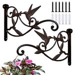 FLORWOD Plant Hangers Outdoor Heavy Duty, 2pcs Plant Hooks for Wall 10 Inch, Decorative Plant Bracket Lantern Hooks Rustic Iron Wall Hooks Hummingbird Hooks