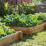 Primrose 200 Litres - The Chamberlain Wooden Raised Grow Bed by Lacewing™ - 100cm² (H20cm)