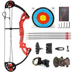 ZSHJG Compound Bow Arrow Package Set Complete Compound Bow and Arrow Set 15-29lbs Beginner Entry Level Compound Bow Kit 260fps (Red)