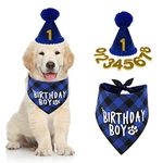 Qpets Dog Gifts Hat For Birthday, Cute Dog Birthday Party Hat Dogs Bandana Birthday Party Supplies Set, Male Dog Bandana Square Scarf & Doggie Birthday Party Hat, Blue, Pack Of 1