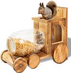 Wood Large Squirrel Feeder, Backyar