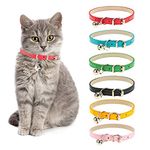 Cat Collars