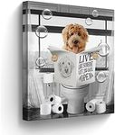 Funny Dog Sitting in Toilet Bathroo