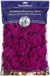 SuperMoss (23166) Reindeer Moss Preserved, Fuchsia, 8oz