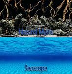 New Seaview Seascape/Natural Mystic 24ââ‚¬Â Aquarium Double-Sided Background BGSS1-24 (L - 48")