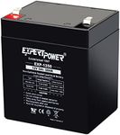 ExpertPower EXP1250 12V 5Ah Home Al