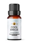 Cool Breeze (100ml) - Pure Peppermint, Bergamot & Cypress Essential Oil Blends – Christmas & Winter Fragrances – Aromatherapy, Diffuser Oils, Oil Burner, Meditation, Yoga