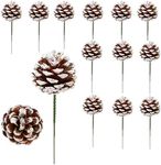 Christmas Natural ​Pine Cones, Snow Tipped Natural Pine Cone, Christmas Tree Decoration Sticks for Craft Garland Xmas Tree Decorations Wreath Ornaments 20Pcs