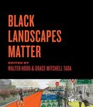 Black Landscapes Matter