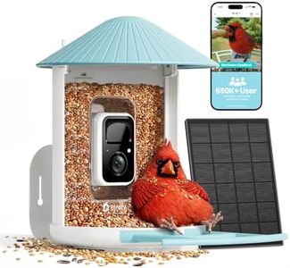 NETVUE by Birdfy Smart Bird Feeder with Camera, Bird Watching Camera, Auto Capture Bird Videos & Motion Detection, Wireless Camera Ideal Present for Bird Lover (Solar Blue)