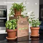 In Home Herb Garden Kit