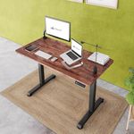 flowlyf-FDGO- Electric Height Adjustable Desk- 2yr WRNTY | Solid Acacia Wood | 120 x 60 CM Top | 3 Memory PRE Set - Controls | 2 Stage -1 Motor | 80 KG Wt | Sit Stand Range 73 cm-117 cm| CL- WL/GR