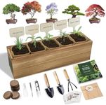 5 DIY Bonsai Tree Kit for Beginners, Complete Indoor Gardening Starter Kit with Seeds, Soils, Pots & Tools, Unique Birthday Gifts Ideas for Women, Men