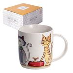 SPOTTED DOG GIFT COMPANY Cat Mug, Ceramic Porcelain China Tea Coffee Mug Cup, Cute Cats Themed Gifts for Cat Lovers and Animal Lovers Women Men Kids, 350ml / 12oz