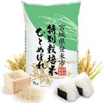 Shinmei Sanchi Gensen HITOMEBORE, Japanese Short Grain White Rice, 11 lb. 100% Grown in Japan Miyagi for SUSHI, RICE BALL, RICE BOWL.