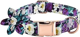 Floral Dog Collar with Bow Tie Buckle Puppy Soft Adjustable for Small Medium Large Size Dogs and Cats Pet Collars Girls Fresh Flower Wild Vintage Cat Hound Spring Scent Inspired Rose Print Turquoise(BlackPurpleFlower#M)