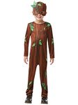 Rubie's 640789L Official Twig Boy Book Day Character Costume, Large (Age 7-8 Years, Height 128 cm)