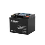 Renogy 50Ah Lithium Battery 12V Deep Cycle Battery LiFePO4 Battery, Extremely Small, with BMS, 3500+ Life Cycles, Core Series