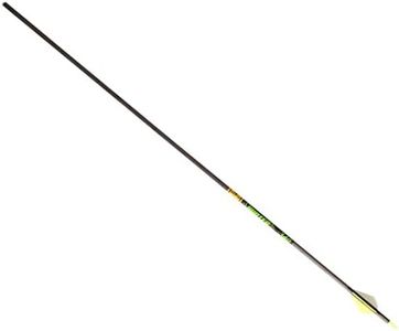 Gold Tip Hunter XT Arrows with Raptor Vane (Pack of 6), Black, 340