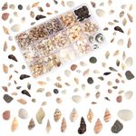 PH PandaHall Sea Shells, 466pcs 15 Style Spiral Shell Beads Undrilled Tiny Natural Sea Shell Ocean Spiral Seashells Miniature Shells for Resin Candle Party Wedding Decor Fish Tank Vase Filler, No Hole