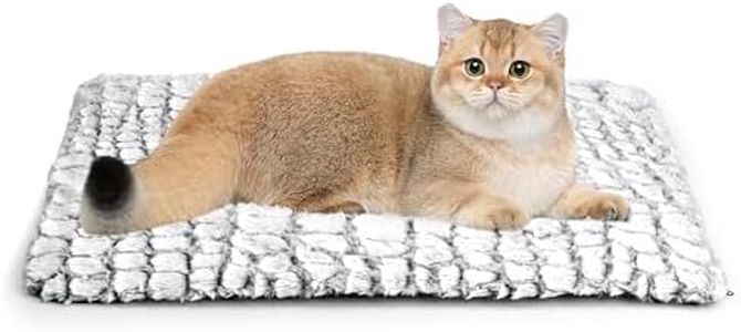 Petace Cat