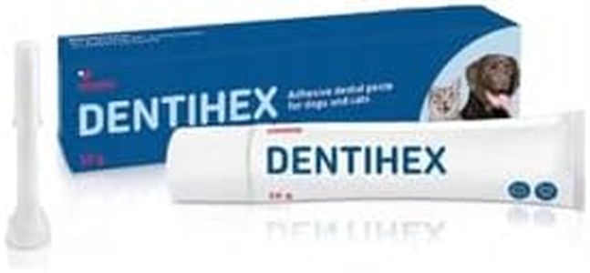 Livisto Dentisept Zahnpasta für Katzen und Hunde, 20 g