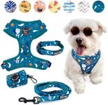 4-Piece Walkies Bundle [Pipco Pets]