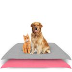 AMORITE Waterproof Reusable Washable Pee Pads & Hygenic Pet Dry Sheet | Training Pads for All Pet | Size- 100 x 70 Cm Medium Combo (Color, Grey + Salman Rose)