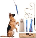 Chasing Tails Flirt Pole for Small or Medium Dogs - 26 Inch with 70 Inch Rope and Two Toys for All Breeds - Spring Pole for Dogs, Dog Flirt Pole for Large Dogs, Dog Catcher Pole