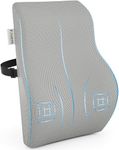 FOVERA Back Support for Office Chair | 2 Years Warranty | Gel Memory Foam Car Seat Back Support, Orthopedic Lumbar Back Rest for Back Pain Relief - Back Pillow for Sitting (Mesh Grey, Large)