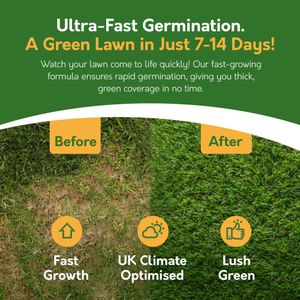 Pronto Seed Grass Seed 400g – Fast Growing Lawn Repair