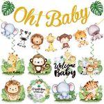 Safari Baby Shower Decorations for 