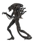 NECA 51683 634482516836 Alien Ultimate Warrior Figure Brown, MARR&oacuten, 23 Centimeters