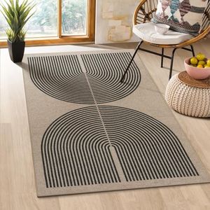 Lahome Modern Rainbow Easy Jute Rug, 3x5 Patio Rugs Washable Rugs for Entryway Farmhouse Black Area Rug, Non Slip Indoor Door Mat Contemporary Outdoor Porch Rug for Laundry Guestroom Room Decor