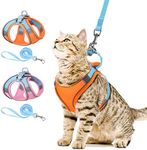 AMIR Cat Harness and Leash, Stylish