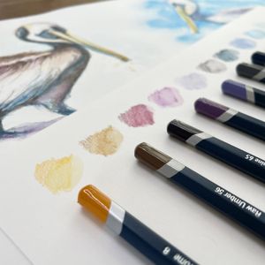 Derwent Watercolour Pencils Set – 24 Vibrant Artist Colors