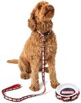 Marvel Pets Gift Set | Small OR Medium Hulk Captain America Iron Man Superhero Lead Collar Charm Accessory Feeder Food Water Bowl | Dogs Cats Birthday Treats Medium