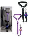 2 PCS Dog Seat Belt, Adjustable Car Safety Leash for Pets, Convertible Vehicle Restraint with Secure Lock, Dual Use Harness for Medium to Large Dogs, Travel Accessories (Black & Purple)