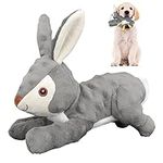 YUEPET Squeaky Dog Chew Toys, Bunny