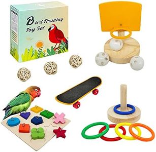 Bird Toys 