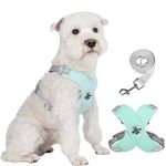 Dog Harness Media