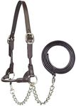 Derby Originals New and Improved Premium Round Rolled Leather Cattle Show Halter with Matching Chain Lead