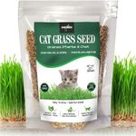 Wheat Grass For Cats